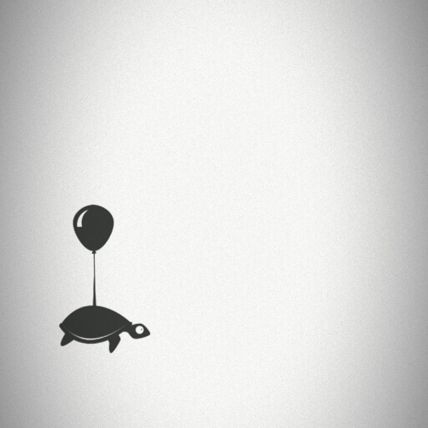 Turtle by Tom Reinert 